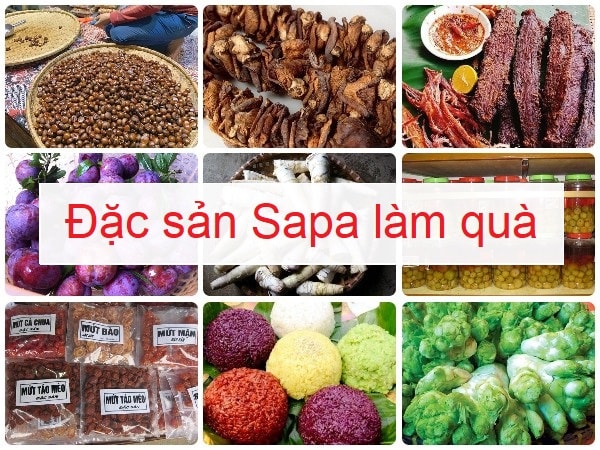 Các Phương tiện từ sân bay Nội bài đi Sapa Lào Cai